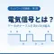 電気信号とは？データがケーブルを流れる仕組みをやさしく解説