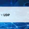 TCPとUDPとは？信頼性と速度のトレードオフをやさしく解説【第29回】